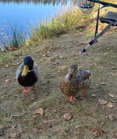 Nas Sen - Dom wakacyjny Svratouch